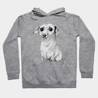 Monochrome Dachshund Hoodie